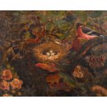 W… H… Youdale (19th Century) British. Study of a Bird’s Nest with Butterflies, Oil on Canvas,