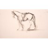 Alfred Kingsley Lawrence (1893-1975) British. Study of a Horse, Pencil, Unframed, 8.25” x 14.5” (