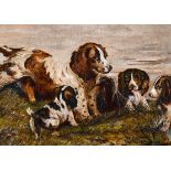 G…Summerville (19th -20th Century) British. A Spaniel with her Puppies, Oil on canvas, Signed, 8”