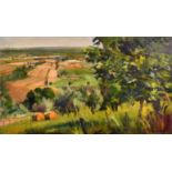 David Carr (1944-2009) British. An Extensive Landscape, Oil on board, Signed, 9" x 15.5" (22.8 x