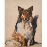 Peter Biegel (1913-1987) British. Study of a Collie, Chalk, Signed and Dated ’38, 17” x 13.75” (43.2