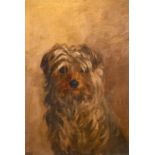 Early 20th Century English School. The Head of a Terrier, Oil on Artist’s Board, Signed with