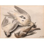 Samuel Howitt (c.1765-1822) British. Study of Dead Birds, Watercolour, Signed, 6” x 8” (15.2 x 20.