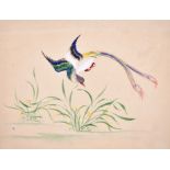 Early 20th Century Chinese School. A Long Tailed Bird, Watercolour, Unframed, 6” x 8” (15.5 x
