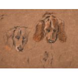 Winnifred Mary Louise Austen (1876-1964) British. Sketch of ‘Don’ the Spaniel, Pencil and Crayon,