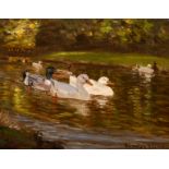 Patrick Downie (1854-1945) British. “A Duck Stream”, Oil on Canvas, Signed, and Inscribed on