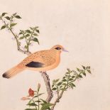 19th Century Chinese School. Study of a Bird on a Branch, Watercolour, 12” x 12” (30.5 x 30.5cm)