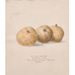 19th Century English School. “Ne Plus Meuris”, Watercolour, Inscribed ‘from Frank Dickinson,