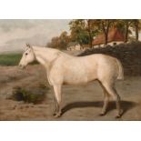 E.S. England (act.1890-1910) British. A Grey Horse in a Landscape, Oil on Canvas, Signed, 18” x