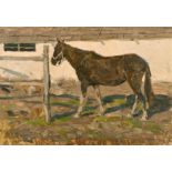 Egveni Ivanovich Samsonov (1926- ) Russian. “A Horse”, Oil on Board, Inscribed on reverse, 19.25”