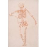 18th Century French School. Study of the back view of a Skeleton, Sanguine, with various bones and