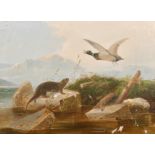 Circle of Robert Cleminson (act.c.1864-c.1903) British. A River Scene with an Otter and a Duck,