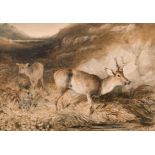 Newton Smith Limbird Fielding ((1799-1856) British. ‘Roe Deer near Loch Rannoch’, Watercolour