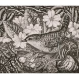 Robin Tanner (1904-1988) British. “Wren and Primroses”, Etching, Signed in Pencil, 3.75” x 4.5” (9.3