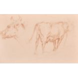 18th Century French School. Study of Cows, Sanguine, 7.25” x 11.5” (18.4 x 29.3cm)