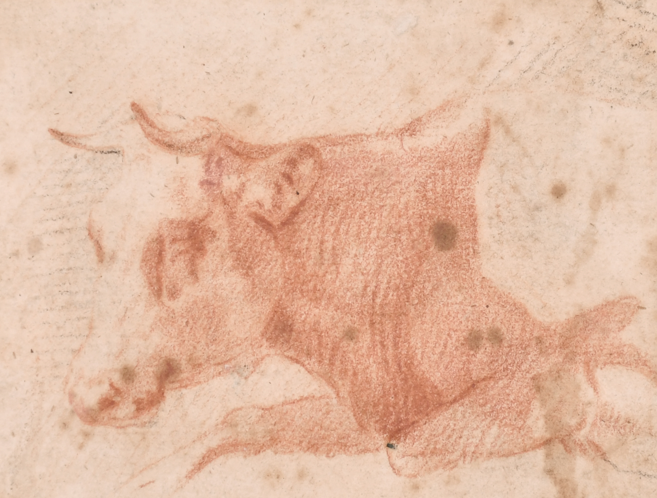 Circle of Paulus Potter (1625-1654) Dutch. Study of a Cow, Sanguine, Inscribed on Mount, In a carved