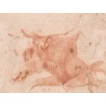 Circle of Paulus Potter (1625-1654) Dutch. Study of a Cow, Sanguine, Inscribed on Mount, In a carved