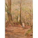 F. Gaye (20th Century) British. A Lady on a Woodland Path, Watercolour, Signed, 13” x 10” (33 x 25.