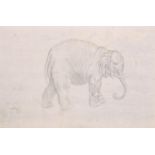 19th Century European School. “Des Elephant”, Pencil, Inscribed, Unframed 8” x 12.75” (20.2 x 32.