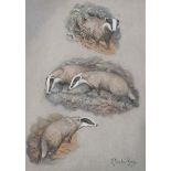 Eric Meade-King (1911-1987) British. A Study of Badgers, Watercolour, Signed, 11” x 8.25” (28 x 20.