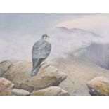 Richard Robjent (1937- ) British. A Peregrine Falcon with Stags on a Mountainside, Watercolour and