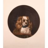 After Edwin Henry Landseer (1802-1873) British. “Fairy, Landseer’s Favourite Spaniel”, Print,