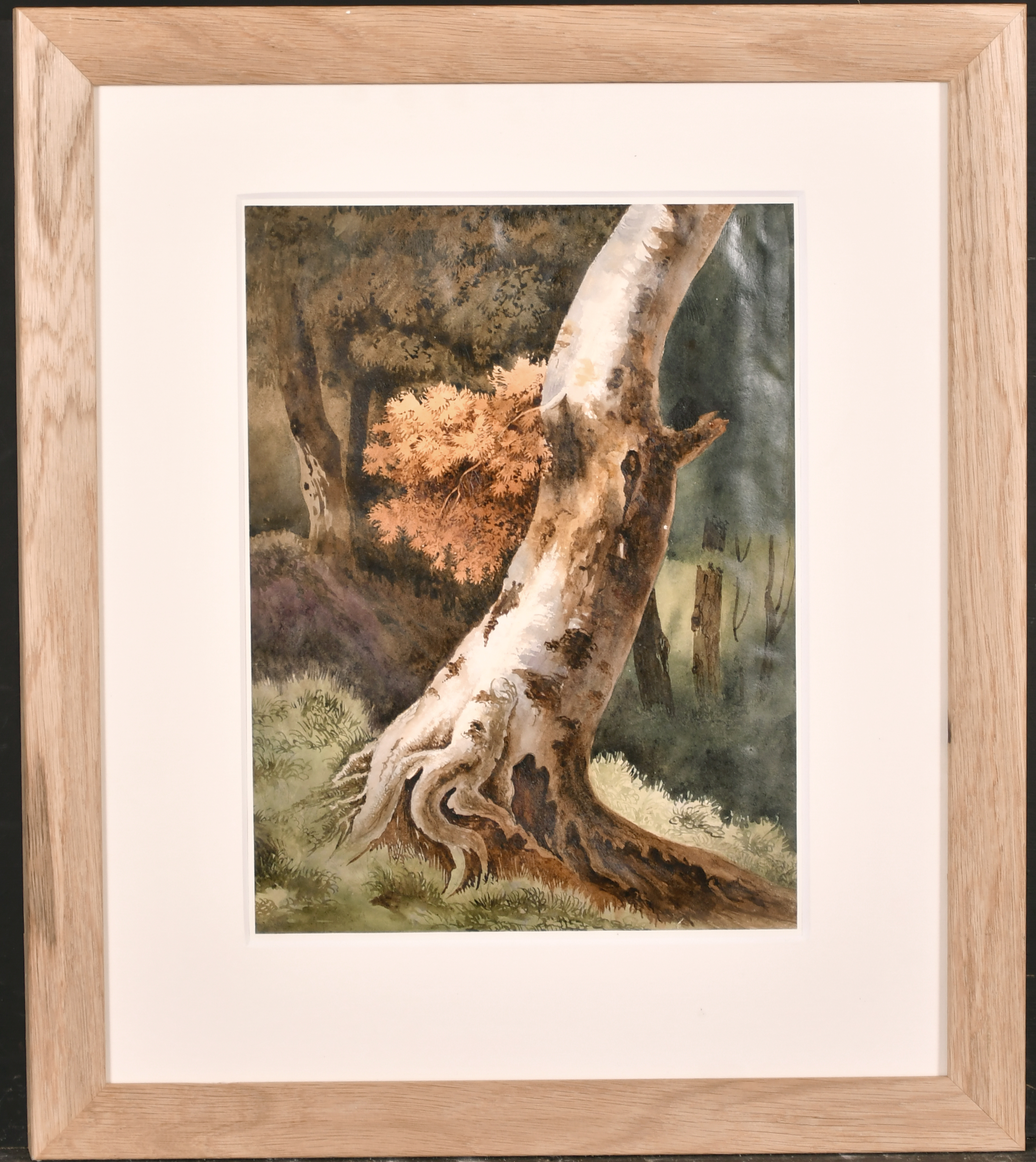 After Simeon Fort (1793-1861) French. Study of a Tree Trunk, Watercolour, 12.25" x 9" (31 x 23cm),