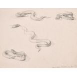 19th Century English School. “Young Adders”, Pencil, Inscribed ‘Mullion ’79 from Life’, Unframed,