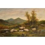 19th Century English School. Sheep Resting in a Landscape, Oil on Canvas, Indistinctly Signed, 20" x