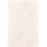 Kanwaldeep Singh Kang ‘Nicks’ (1964-2007) Indian. A Standing Female Nude, Pencil, Signed and