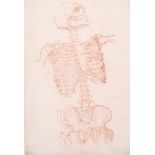 18th Century French School. Study of a Skeleton, Sanguine, with various bones and joints lettered