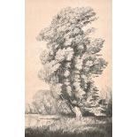 Alfred Richard Blundell (1883-1968) British. "Wind in the Willows", Etching, Signed and Inscribed in