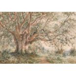 J. T. Farnsworth (19th – 20th Century) British. “The Major Oak – Sherwood Forest”, Watercolour,