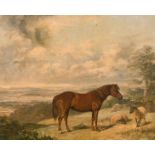 George Bouverie Goddard (1832-1886) British. A Horse and Sheep in an extensive Landscape, Oil on
