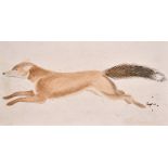 19th Century English School. Study of a Fox, Watercolour, Unframed, 2.6" x 4.75" (6.7 x 12.2cm)