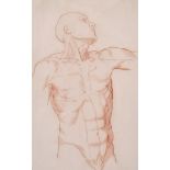 19th Century French School. Study of a Naked Man, Sanguine, 12.5" x 8" (31.7 x 20.2cm) and two