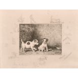 Frank Paton (1855-1909) British. A Set of Twelve, "A Merry Christmas", Two Spaniel Puppies,