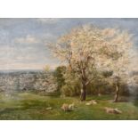 Edward Archer (19th-20th Century) British. "Spring", Sheep in an Apple Blossom Field, Oil on Canvas,