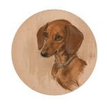 Nesta Warren (20th Century) British. "Sally", head of a Dachshund, Pastel, Signed, Inscribed and