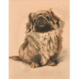 Leslie S G Harries (1900-1975) British. Study of a Pekingese, Pastel, Signed in Pencil, and