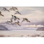 Philip Rickman (1891-1982) British. 'Widgeon in Flight', Watercolour, Signed, 20.5" x 29" (52 x 73.