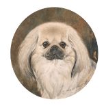 William Harris Weatherhead (1843-1903) British. "Tong of Studleigh (Yorks)", Head of a Pekingese,