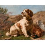 Edward Robert Physick (c.1836-1880) British. A Welsh Spaniel with a Pheasant, Oil on Board, Signed