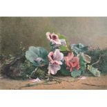 Hector Caffieri (1847-1932) British. "Study of Geraniums", Watercolour, Signed and Dated 1871, and