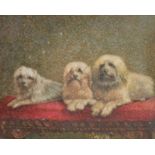 W.C. Bell (19th-20th Century) British. "Terriers; Carlo, Chloe and Syppy", a study of Dogs Seated on