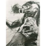 Nicola Stephenson (20th/21st Century) British. Study of a Boxer, Charcoal, 53" x 39.5" (134.6 x