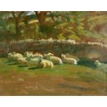 Alfred James Munnings (1878-1959) British. "Sheep Resting", Oil on Board, 10.4" x 13.1" (26.2 x 33.