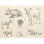 Benjamin Williams Leader (1831-1923) British. A Study of Cattle, Pencil, Inscribed verso, Unframed