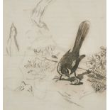 Edwin Henry Landseer (1802-1873) British. Study of a Magpie, Ink, 5.1" x 4.6" (13 x 12cm)