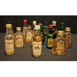 Lot of whisky and sprit miniature s.